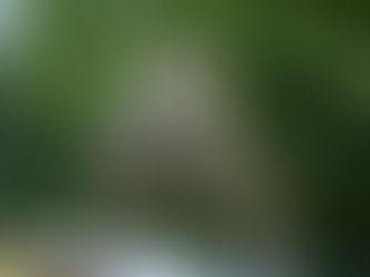 Sæsonbedste for Matti Jørgensen på Budds Creek