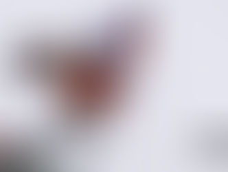 The Bullet tilbage i Assen