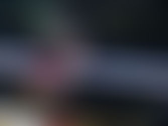 Hvad vi lærte i Anaheim ... 2 ...