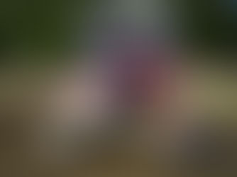 Team Spanien udtaget til MXoN - Ingen Prado