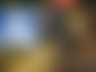 Flere gode danske resultater i Tyskland