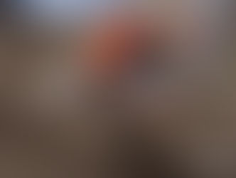 Puklet som et ondt år - MXGP