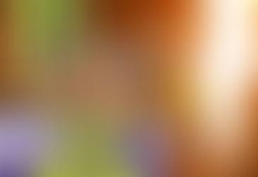 Udligning og en titel i St. Louis!