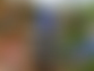 MX-Index Awards 2018 - Afstemningen er åben!