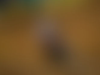 TKO med god kval' - The Bullet uhyggelig