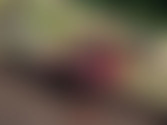 Brækket kraveben til Lucas Bruhn