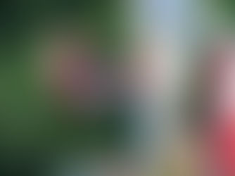 Foreløbig VM-kalender 2026!