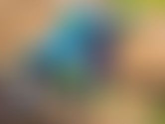 God sæson og trange udsigter for Guldhammer