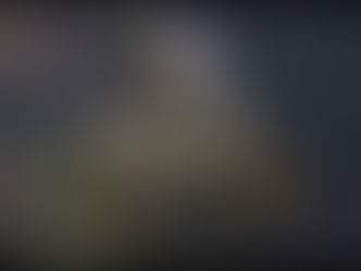 Officielt godkendte VM-teams