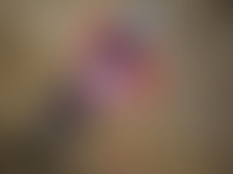 - 2025 har været fuld af oplevelser!