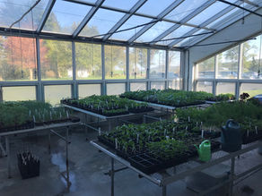 What's New? Eastern PAAE Regional Meeting at Conrad Wieser 