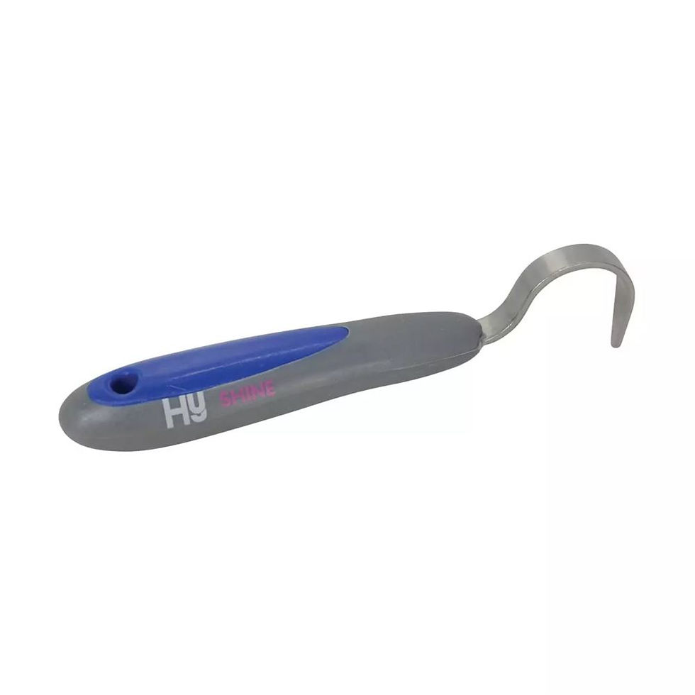 Thumbnail: Hy Sport Active Hoof Pick