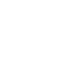 Shield icon.png