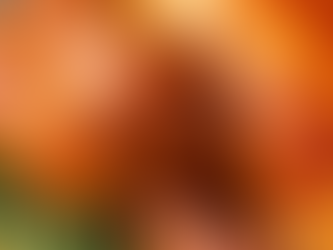 Joyffles Turkey Stuffing