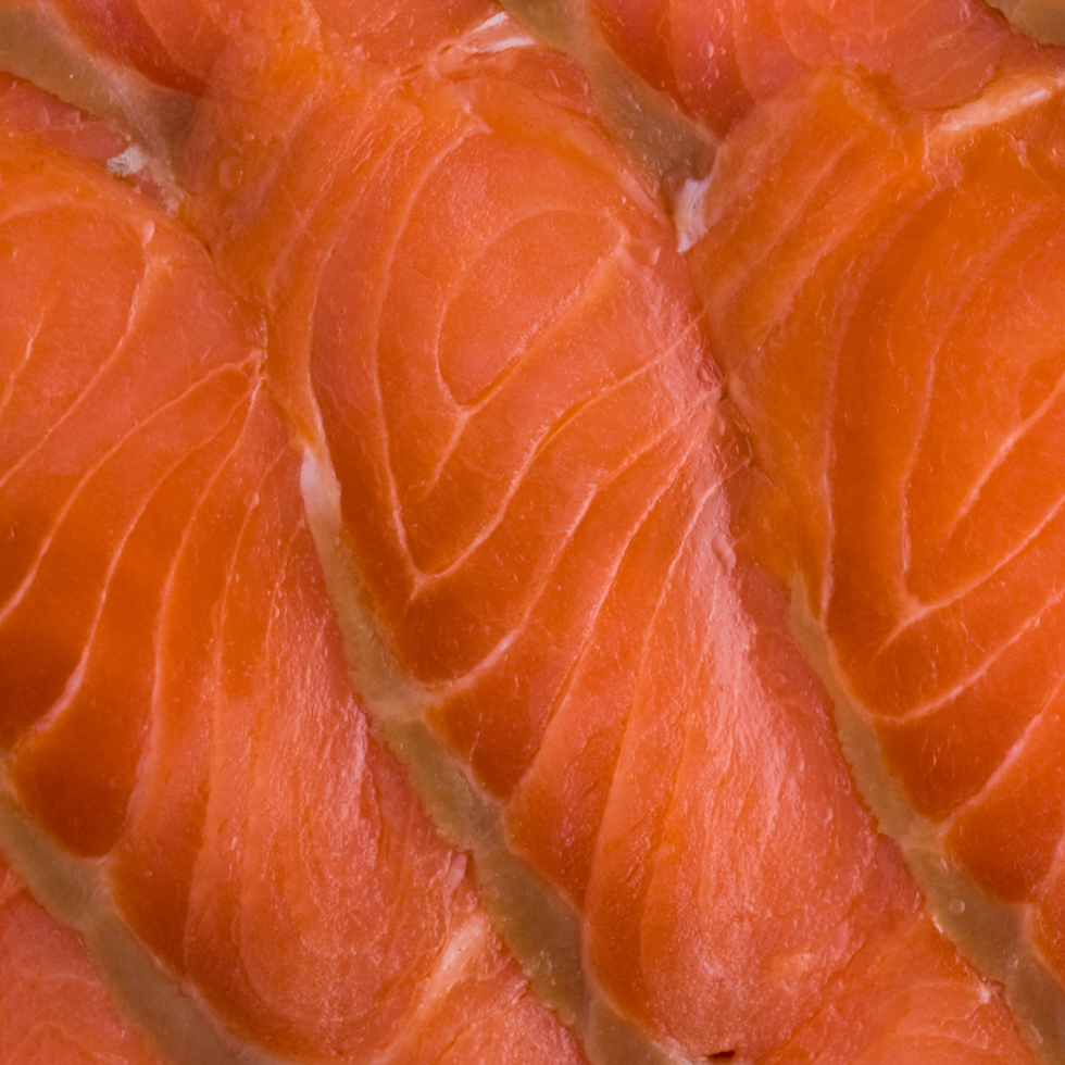 Salmon