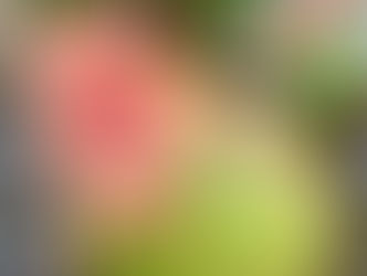 So the Word on the Street Is… Mortgage Applications Are Climbing Again