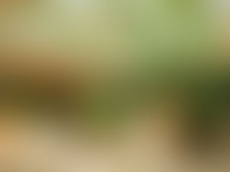 The Market Isn’t Slowing—It’s Shifting: What Rising Costs Mean for Hawai‘i Real Estate