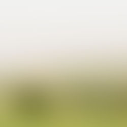 Beautiful rolling hills of the Ozarks at Dockley Ranch.