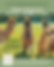 meet-alpacas-highlonesome-music-festival.png