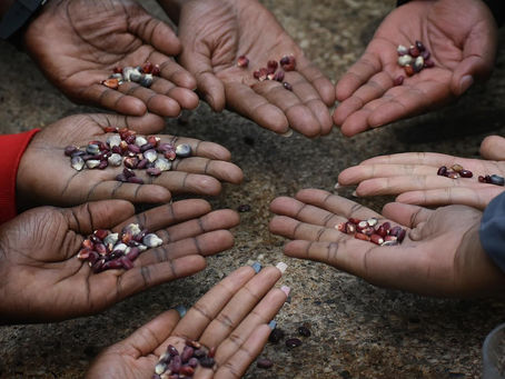 Empowerment, Integrity & the Seasons of Change