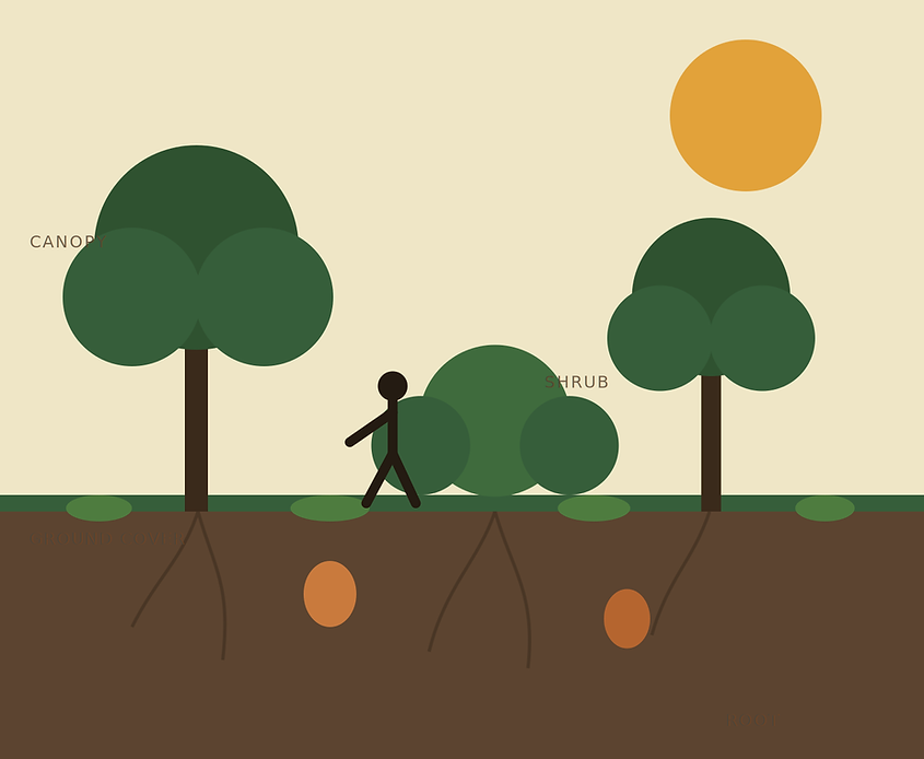 hero-illustration.png