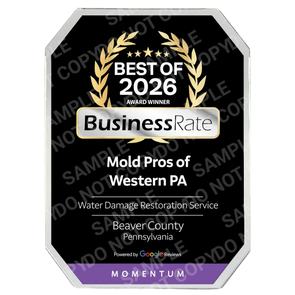 Untitled design-103_edited.png