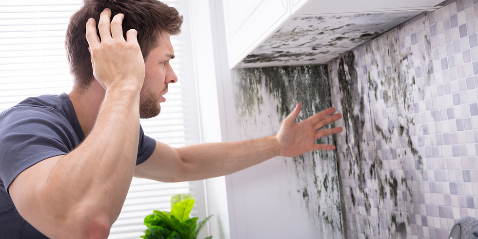 mold damage detected
