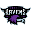 ravens pw100.png