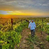 Learn to make wine at the Southwest Wine Center in Clarkdale Arizona 