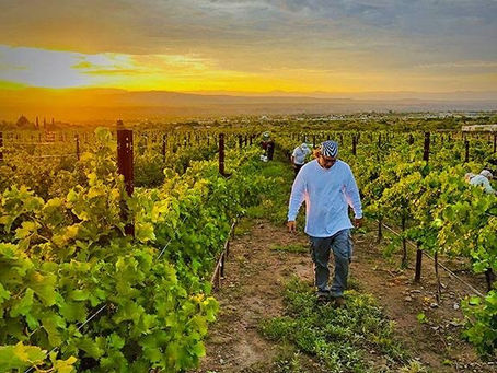 Learn to make wine at the Southwest Wine Center in Clarkdale Arizona