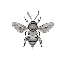 Copia de Logo (2)-Photoroom.png