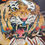 Thumbnail: 12/14/1980 Cincinnati Bengals at Chicago Bears Soldier Field
