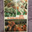 Thumbnail: 1975 St. Louis Football Cardinals Pre-Season Media Program