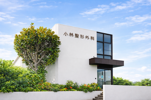小林整形Photo3.png