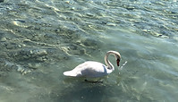 IMG_7884.jpg