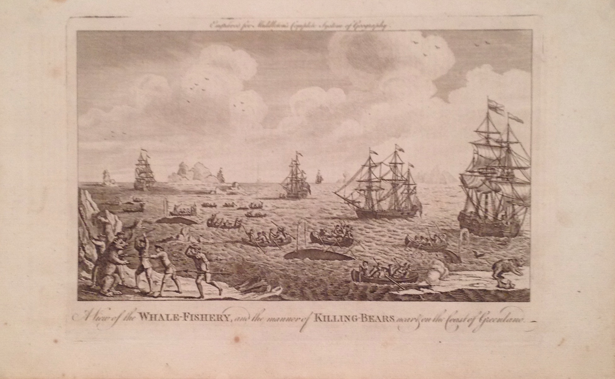 A View of Whale-Fishery