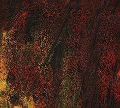 forest fire7.jpeg