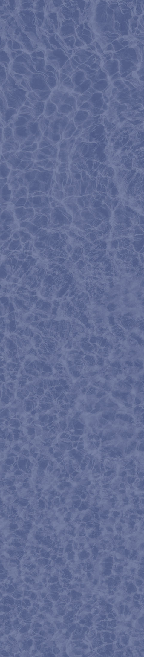 Summer Swim_edited.jpg