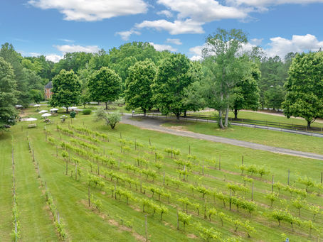 Best Place to Book a Wine Tasting in Virginia: Visit Eden Try Winery