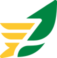 Group 62 (1).png