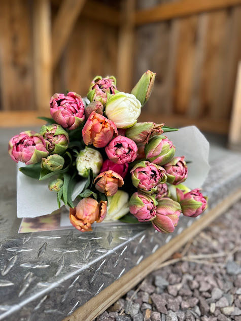 Thumbnail: Spring Tulip Subscription