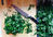 Lemon Parsely Pesto