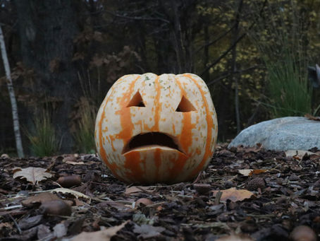 🕯️ Spooky Season or Stress Season? Managing October Anxiety and Holiday Stress