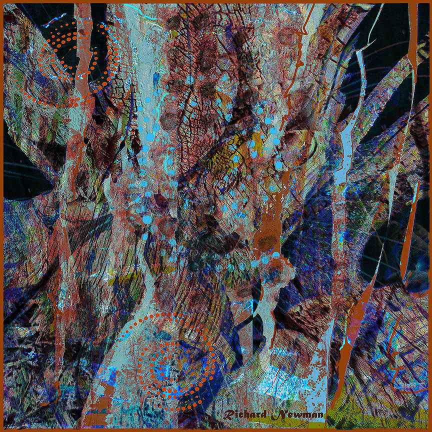 "Bark Composite #2" Richard Newman, 16 x 16, Digital