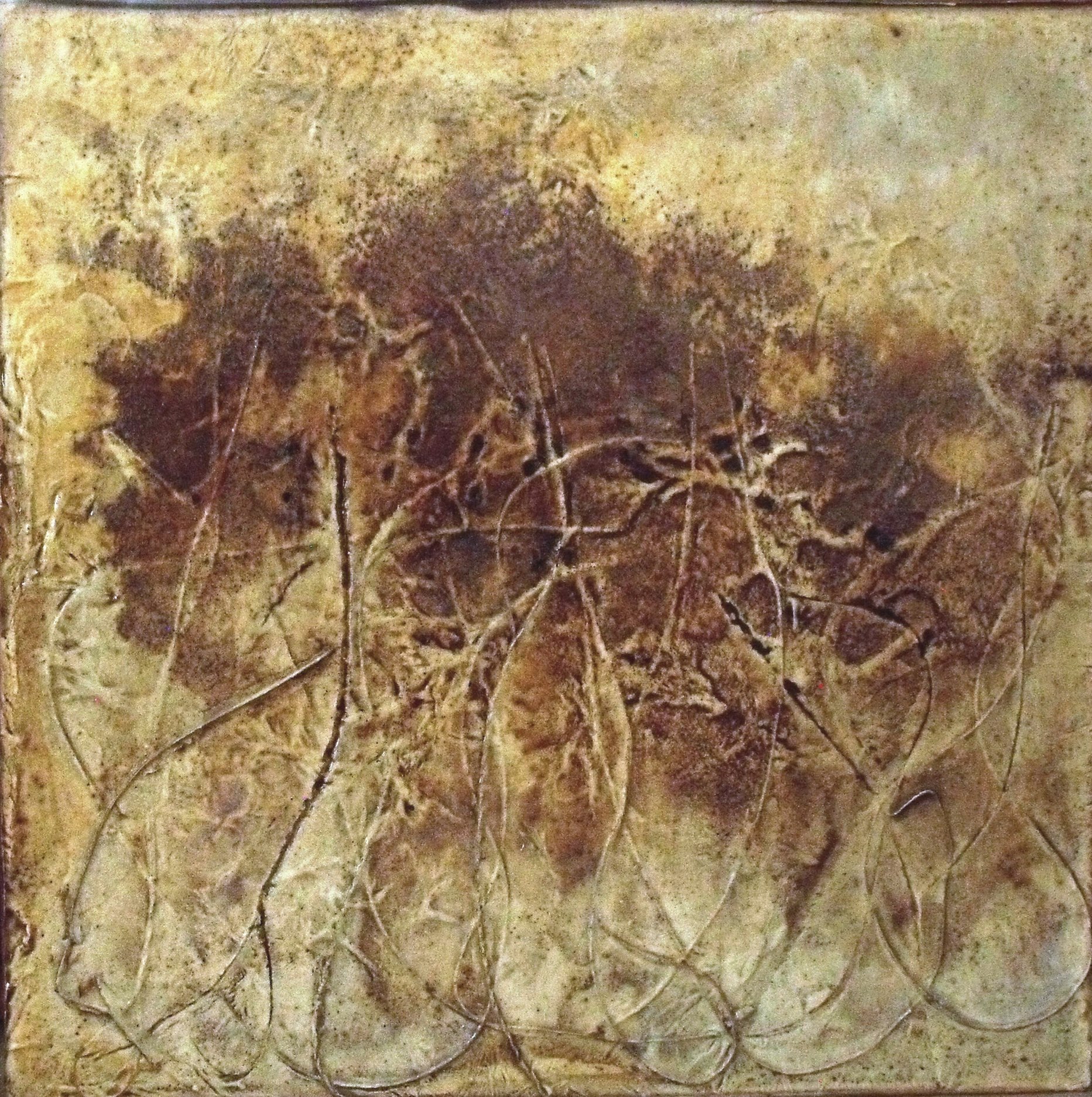 Life Beneath the Forest Floor