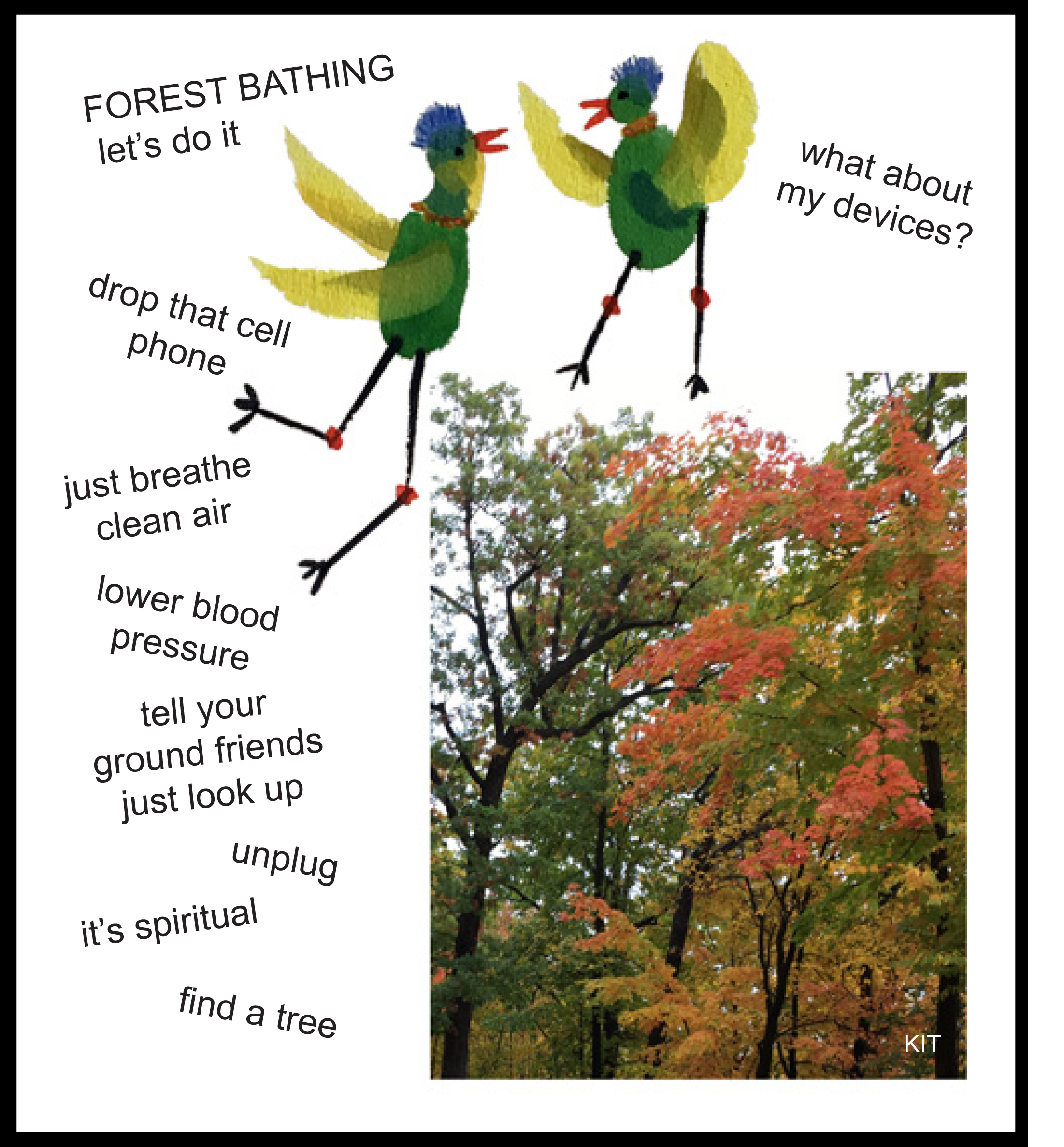Forest Bathing