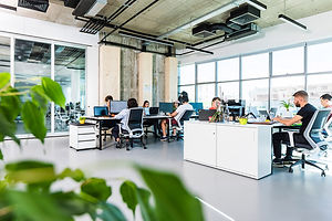 Shared office space with employees at desks, large windows, and indoor plants.