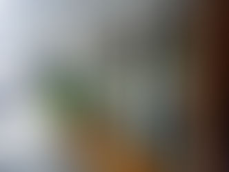 Blast Off at Rocket Coffeebar