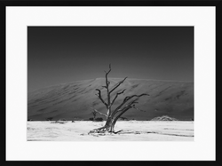 11. Dead Tree