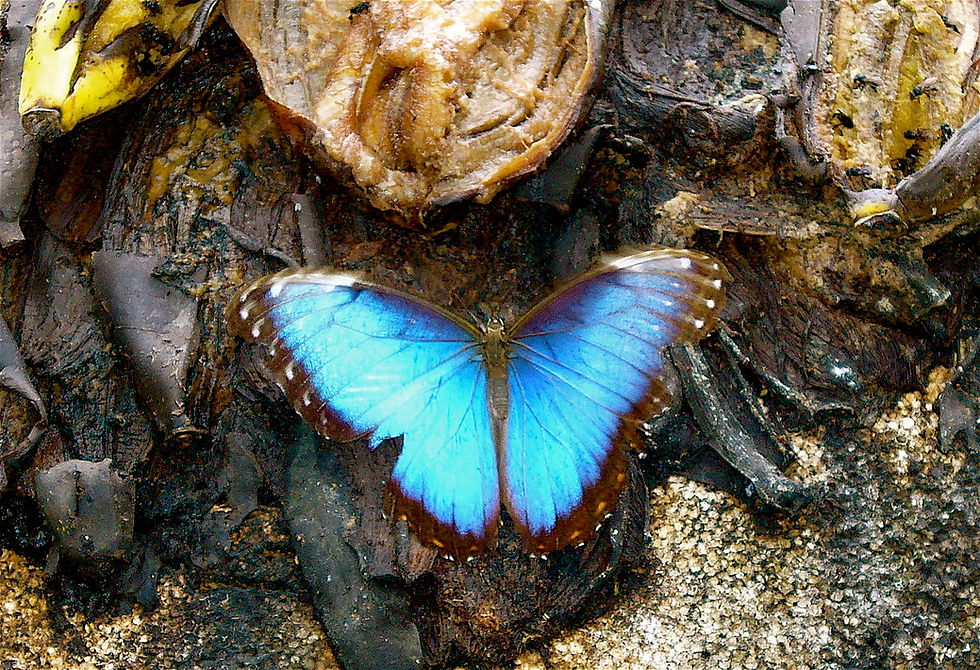 Costa Rica
